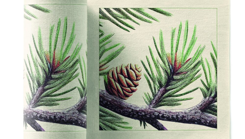 Pine Cone Recycled Cotton Cocktail Napkins